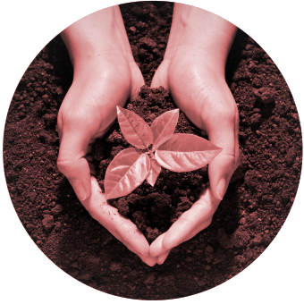 our environment policy