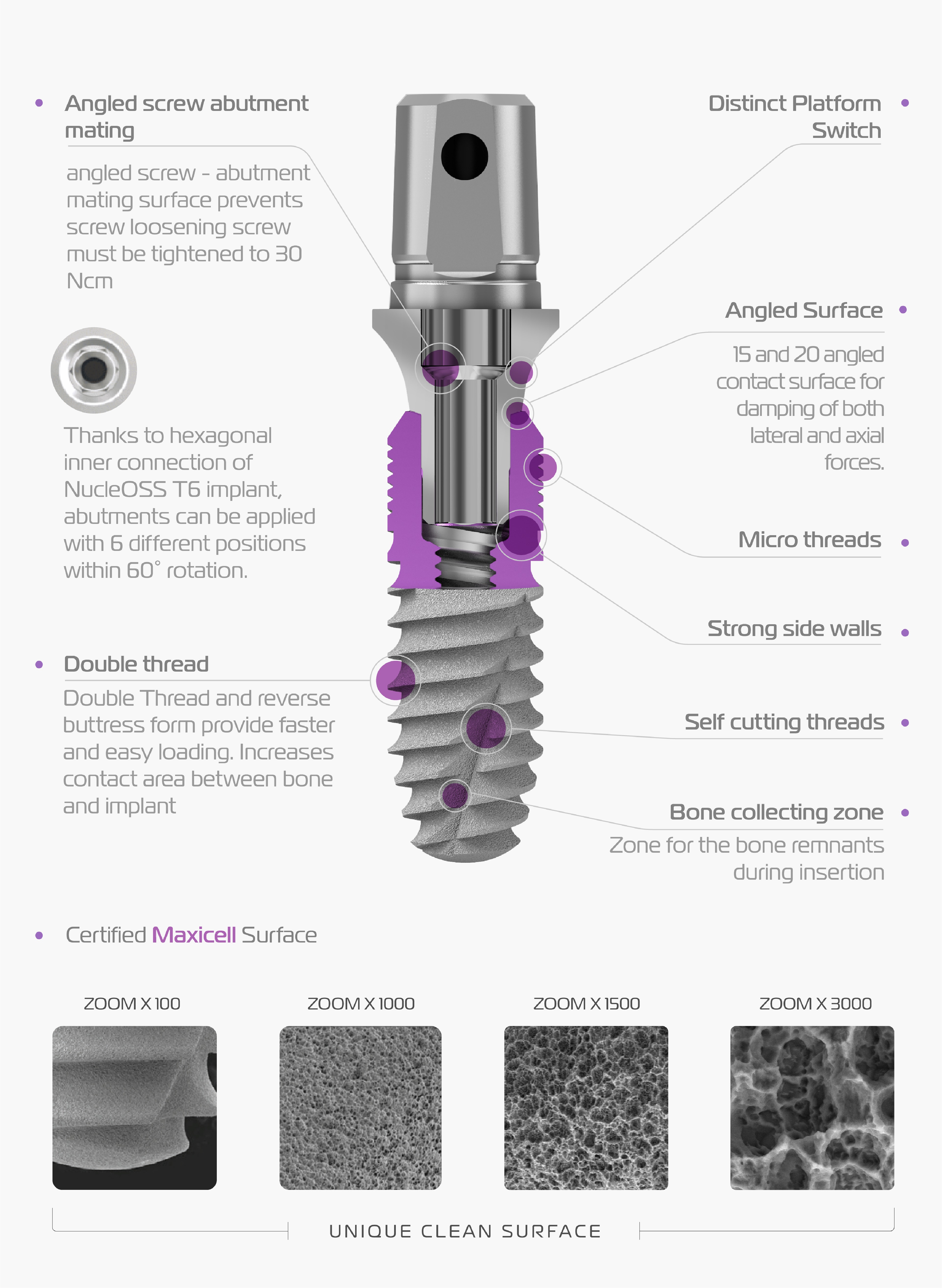 T6 Torq Bone Level Implant
