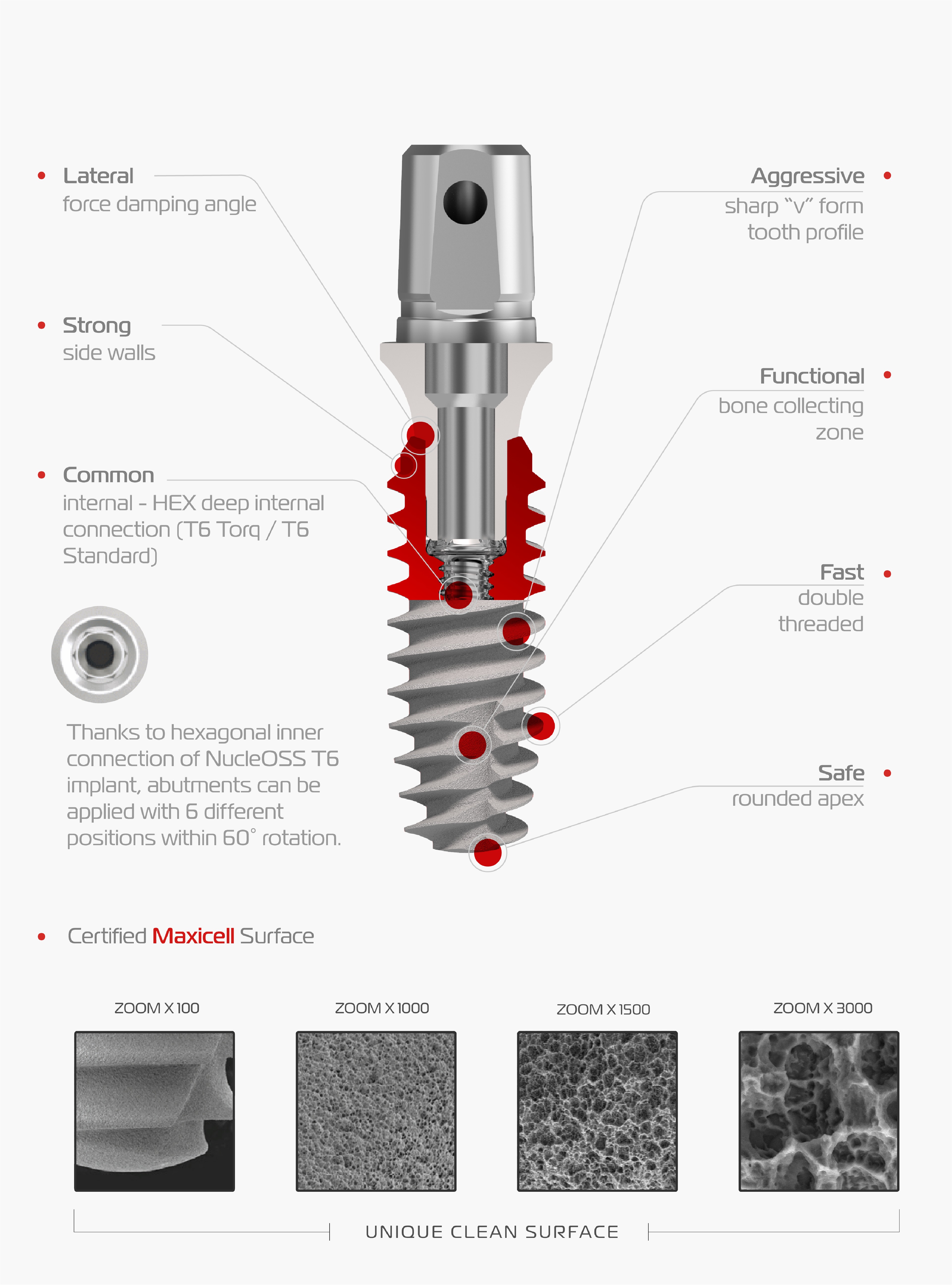 T6 Torq Bone Level Implant
